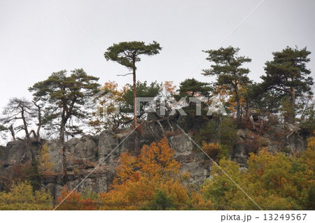 信濃三十三観音霊場 蓑堂山 蓑堂(第九番札所)樋口家宅 信濃三十三観音霊場 蓑堂山 蓑堂(第九番札所)樋口家宅 13249567