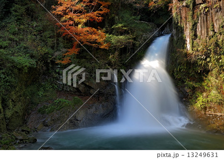 河津大滝 河津大滝 13249631