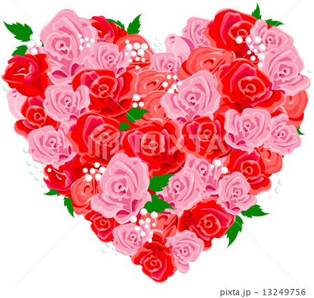 Rose heart 13249756