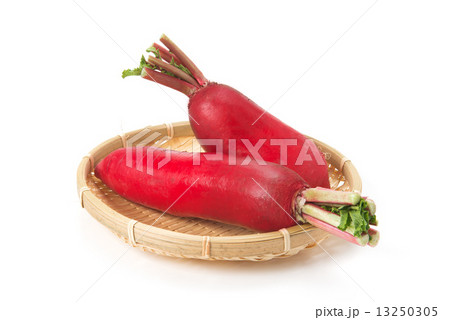 赤大根 13250305