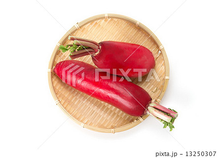 赤大根 13250307