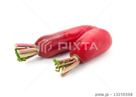 赤大根 赤大根 13250308