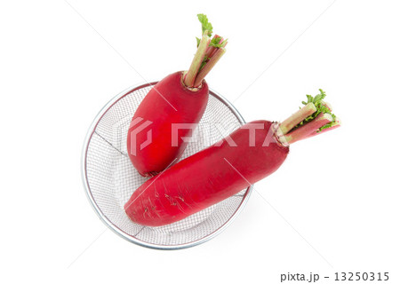 赤大根 13250315