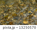 綺麗な川の水 13250570