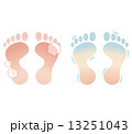 足の裏3 13251043