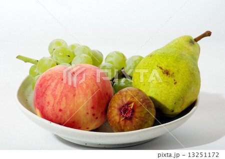 秋の果物 13251172