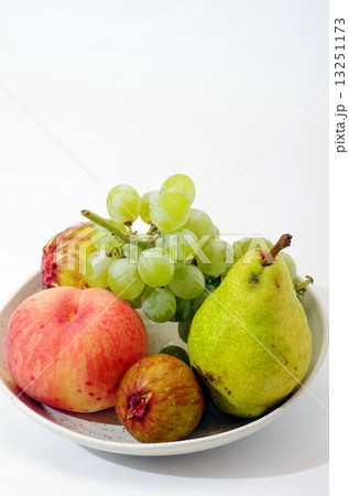 秋の果物 13251173