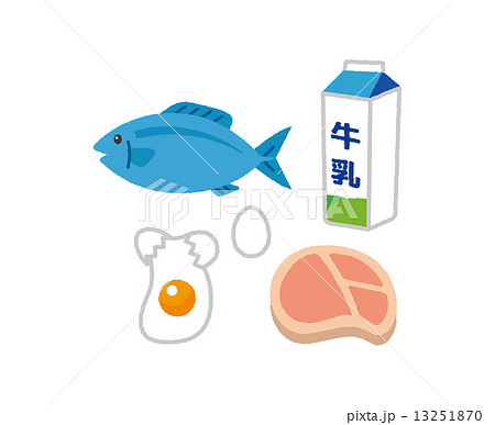 魚 肉 卵 牛乳 たんぱく質 材料のイラスト素材