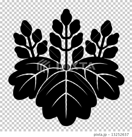 Sogokuji Temple 13252637