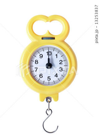 New Portable Weigher 13253837