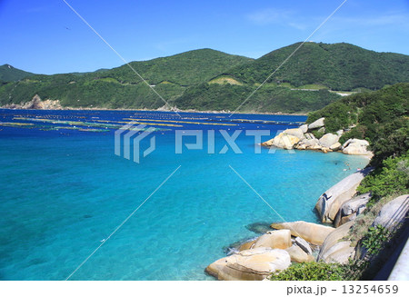 柏島 柏島 13254659