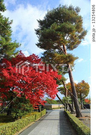 京都　秋の相国寺 13254806