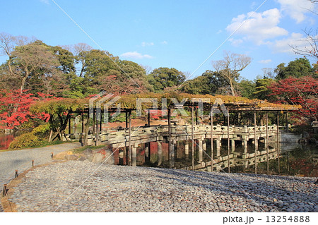 京都　秋の仙洞御所　八ツ橋 13254888