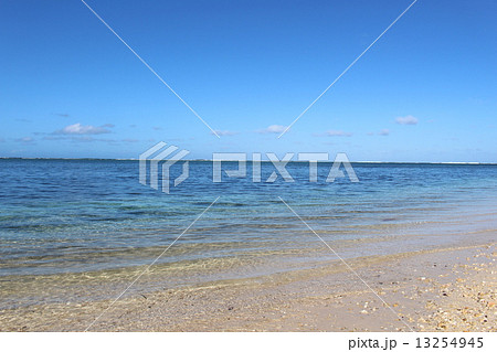 美しいサイパンのビーチ 13254945