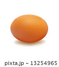 Egg Brown 13254965