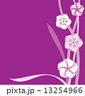 Frame purple 13254966