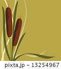 Frame Reed 13254967