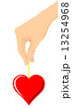 Heart in hand 13254968