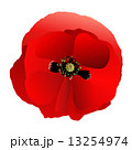 Poppy red gradient 13254974
