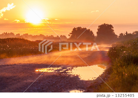 Fog on the early morning Fog on the early morning 13255405