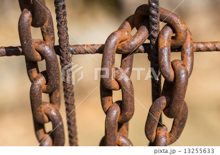 Rusty chain on an old metal fence 13255633