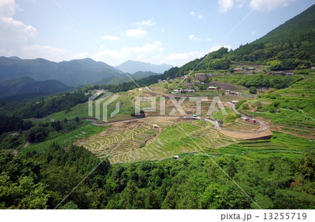 丸山千枚田 13255719