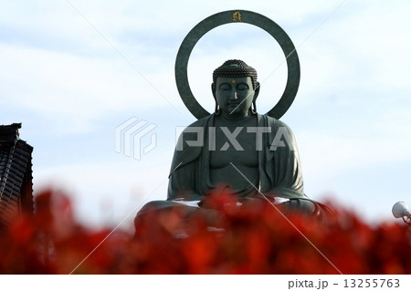 高岡大仏 13255763