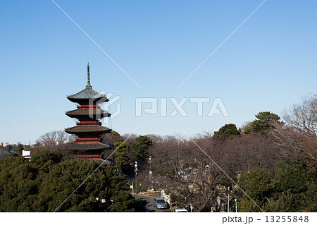 五重塔 五重塔 13255848