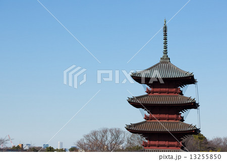 五重塔 五重塔 13255850