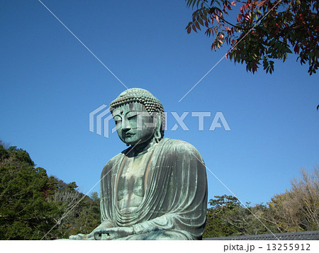 鎌倉 大仏 鎌倉 大仏 13255912