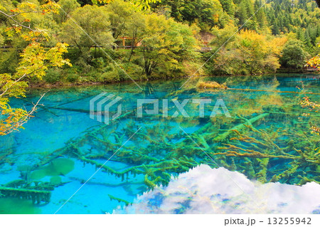 九寨溝 九寨溝 13255942