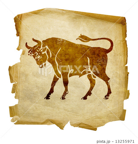 Taurus zodiac old, isolated on white background. 13255971