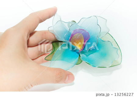 Plastic flower isolated on white background 13256227