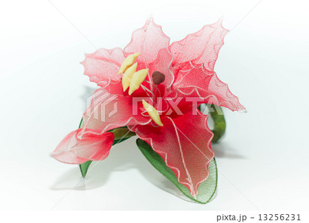 Plastic flower isolated on white background Plastic flower isolated on white background 13256231