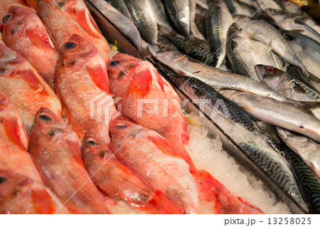 Fish in the market China Town, NY, the USA 13258025