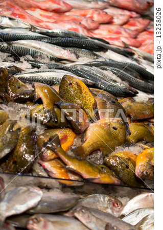 Fish in the market China Town, NY, the USA 13258026