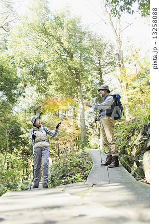 シニア登山 シニア登山 13258088