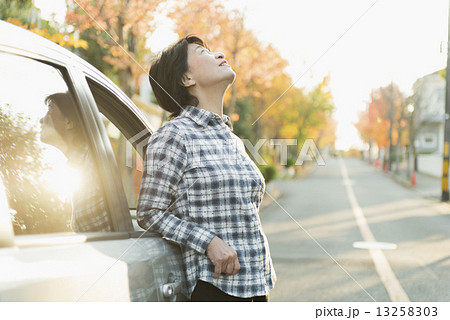 シニア登山 13258303