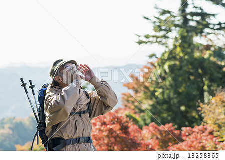 シニア登山 13258365