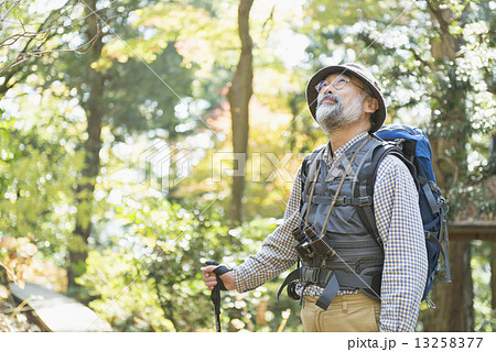 シニア登山 13258377