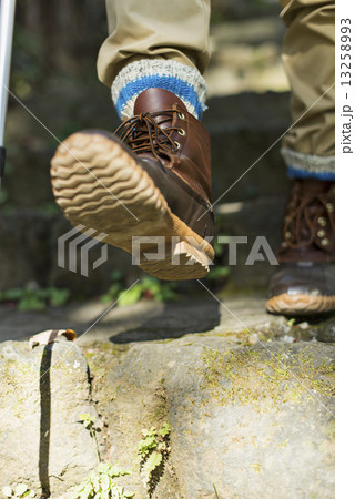 シニア登山 13258993