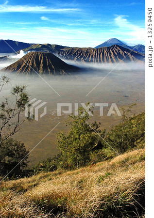 Landscape of Volcanoes in Bromo 13259450