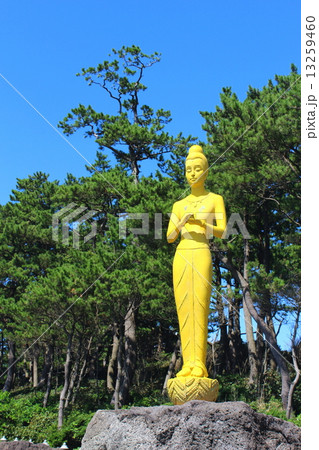 花瀬望比公園 黄金色の観音像 13259460