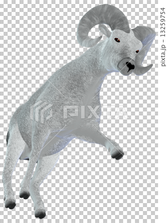 Sheep ☆ Bic Horn 13259754