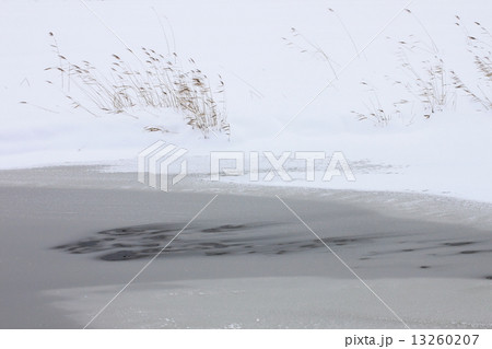 雪 雪 13260207