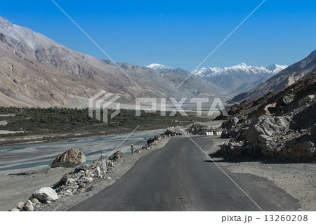 Nubra valley in Himalayas, Hunder, Ladakh, India 13260208