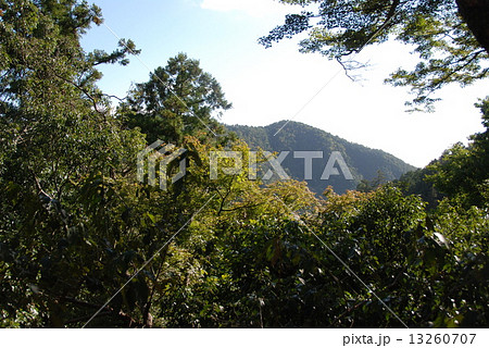 鞍馬山（京都市左京区鞍馬本町） 13260707