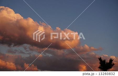 ピンク色の綿雲 13260832