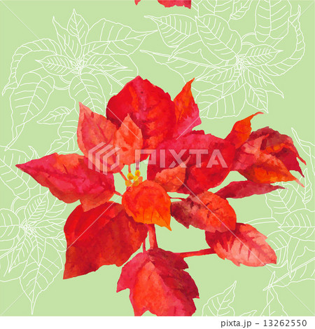 Seamless pattern  with poinsettia plant-05 13262550