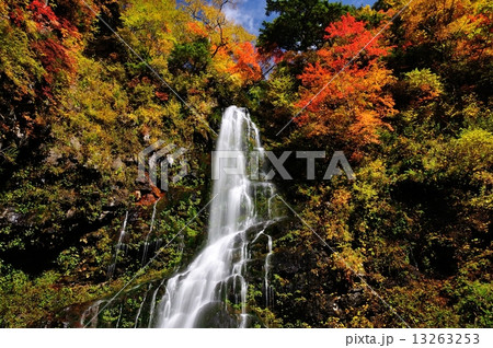 秋の幕滝 13263253